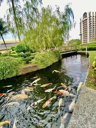 Bullion Park (D26), Condominium #456795261